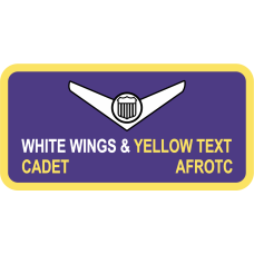 Image for AFROTC Det 310 Name Tag