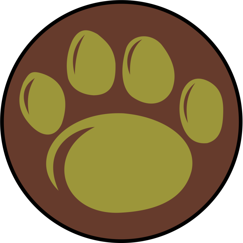 AFROTC Det 720 Paw OCP Patch