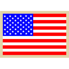 Image for AFROTC Det 145 American Flag with Gold Border Patch