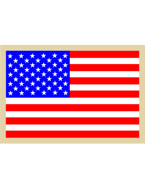 Image for AFROTC Det 145 American Flag with Gold Border Patch