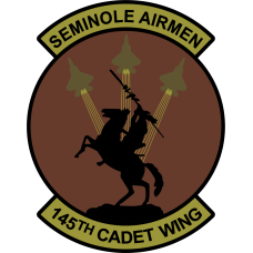 Image for AFROTC Det 145 Cadet Wing OCP Patch