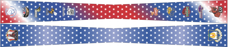 AFROTC Det 207 St Louis Univ Flight Scarf