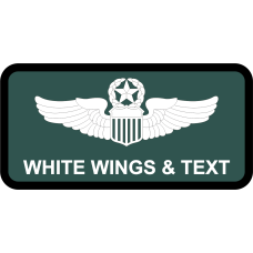 Image for 101 ARW Name Tag