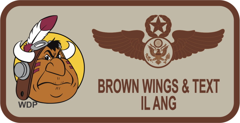 169 AS Desert Name Tag - Illinois ANG