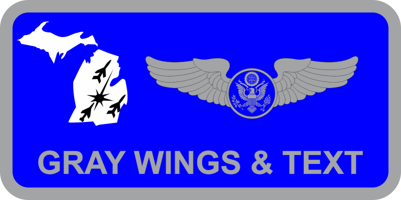 172 ATKS HQ Michigan/State Outline Name Tag