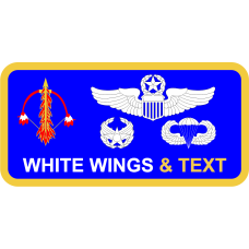 Image for 182 OSS Blue Name Tag