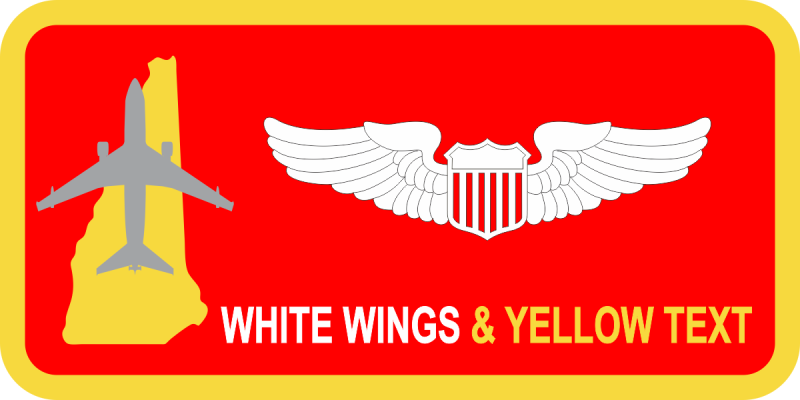 64 ARS Aircraft/State Outline Name Tag