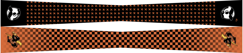 104 FS Flight Scarf, Warfield ANG