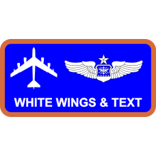 Image for 152 COS Name Tag, NY ANG