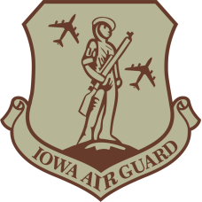 Image for Iowa Air Guard Desert Patch