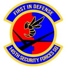 Image for 145 SFS Full Color Patch