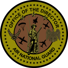 Image for Office Of The Director ANG OCP Patch 4"