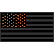 Image for 169 AS American Flag Black Out Patch