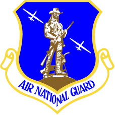 Image for 138 OG Macho Man MQ-9 Patch