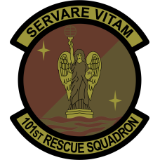 Image for 101 RQS Servare Vitam OCP Patch