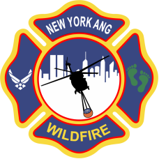 Image for 101 RQS Wildfire Green Feet Patch