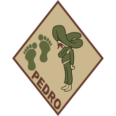 Image for 101 RQS Pedro with Green Feet Patch