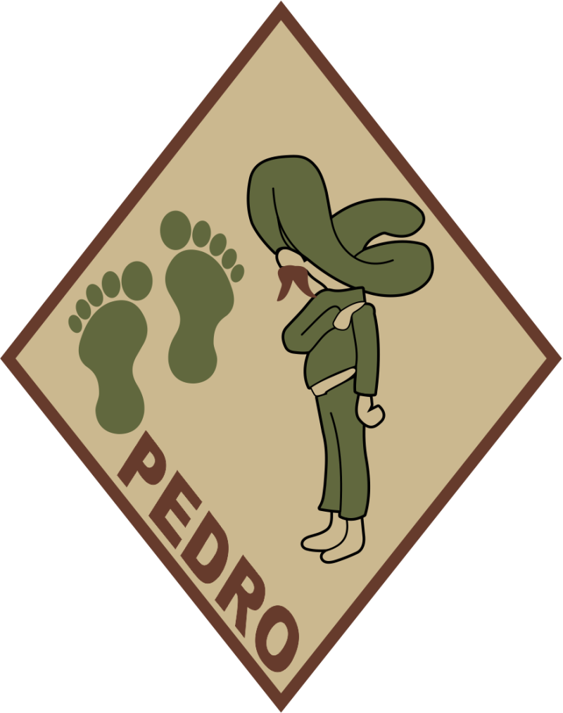 101 RQS Pedro with Green Feet Patch