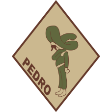 Image for 101 RQS Pedro Desert Patch