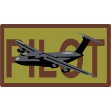 Image for AFSC Pilot with Gray C-5 OCP Patch
