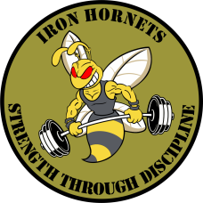 Image for Iron Hornets NCARNG Patch