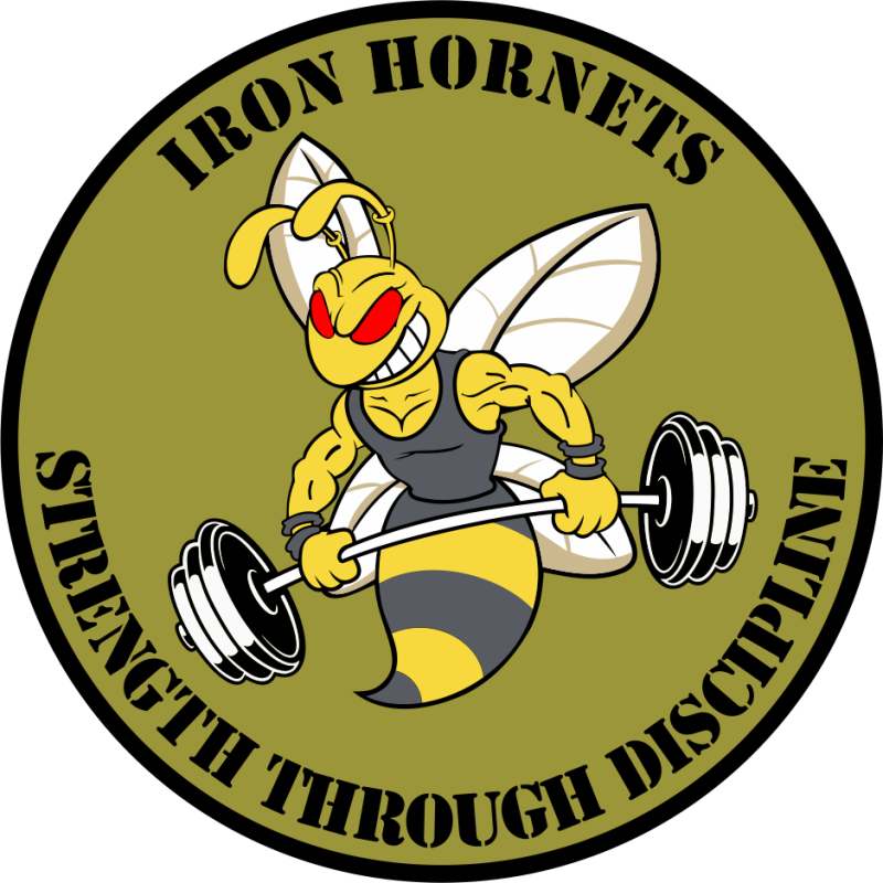 Iron Hornets NCARNG Patch