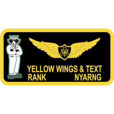 Image for Aeronautical Familiarization Inc Name Tag