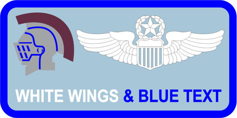 730 AMTS Knight Name Tag