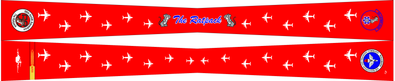 58 AS Flight Scarf, Altus AFB