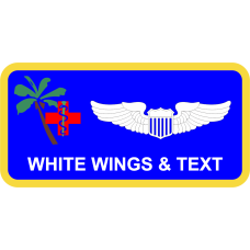 Image for 36 MDG Palm Tree with Red Cross and Caduceus Name Tag