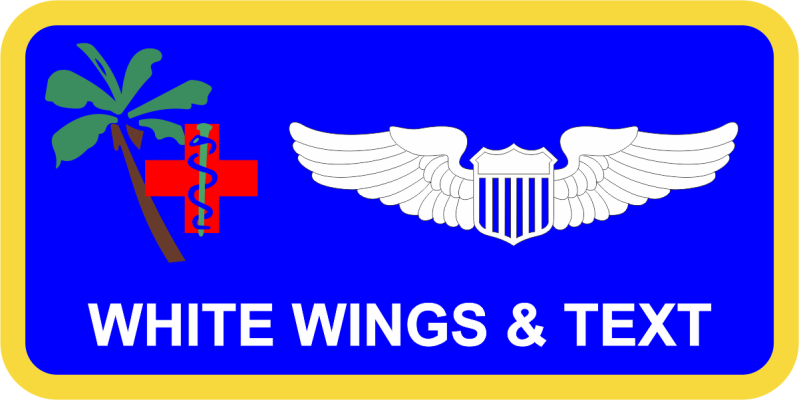 36 MDG Palm Tree with Red Cross and Caduceus Name Tag 