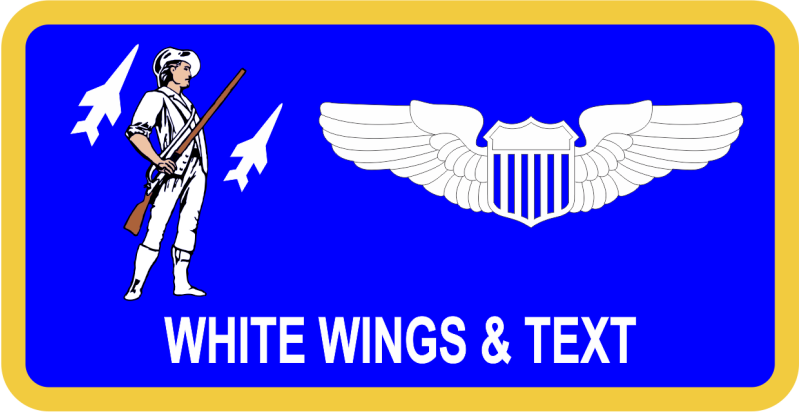 201 AS Stylized Nondescript Aircraft Name Tag 