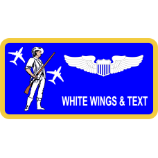 Image for 201 AS Minuteman with C-17 Name Tag