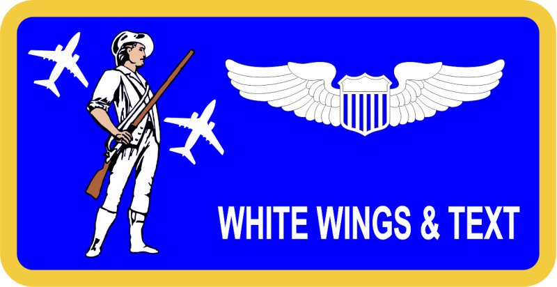 201 AS Minuteman with C-17 Name Tag 