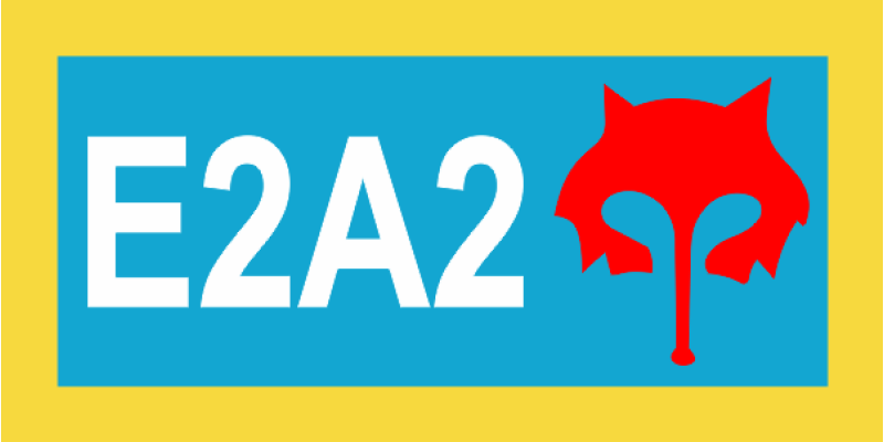 1 AS E2A2 Full Color Pocket Tab 