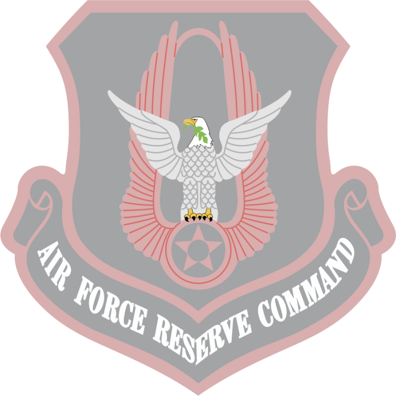 756 ARS AFRC Pink/Gray/Black Patch