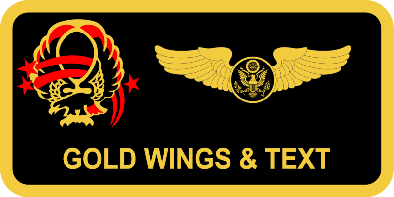 201 AS Black Eagle Name Tag 