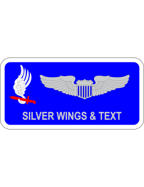 Image for 173 Airborne Brigade Name Tag