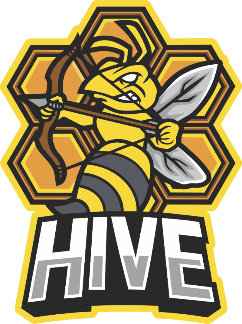 A5PS Bee Hive PVC Patch