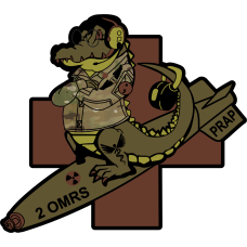 Image for 2 OMRS Gator OCP Patch