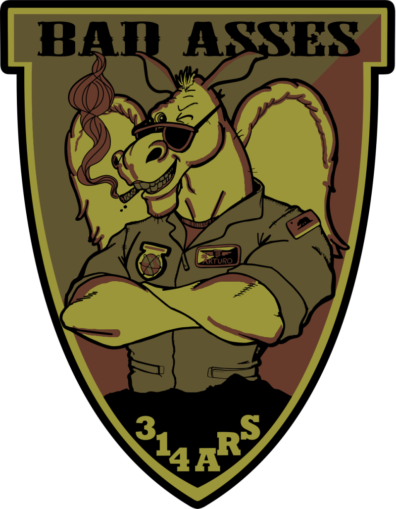 314 ARS Bad Asses OCP Patch
