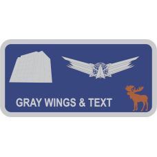 Image for 10 SWS Name Tag