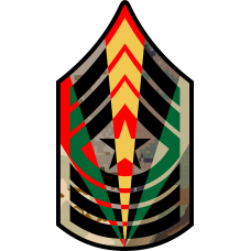 Image for USMC Chevron SGT Major Star 7 Panel 7 inch Patch