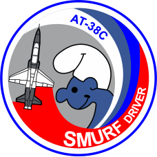 Image for 49 FTS Smurf Driver Patch