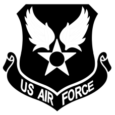 Image for US Air Force Black & White Patch