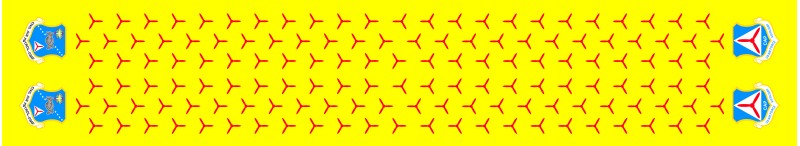 USAF Auxiliary Flight Scarf