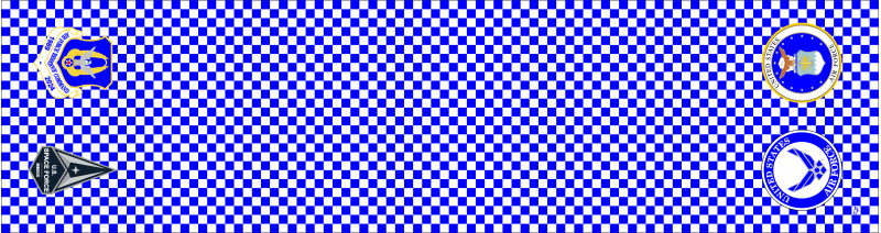 Tom Selvaggi Flight Scarf