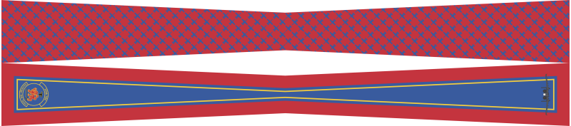 355 TRS Flight Scarf