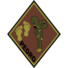 Image for 55 RQS Pedro OCP Patch