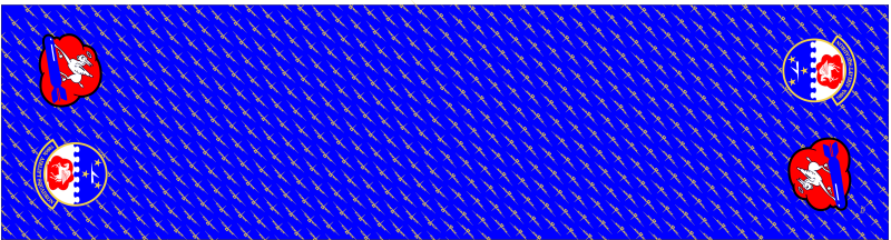 700 AS Flight Scarf, Dobbins AFB